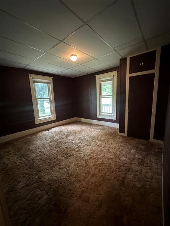 spare room featuring a drop ceiling, plenty of natural light, and carpet flooring