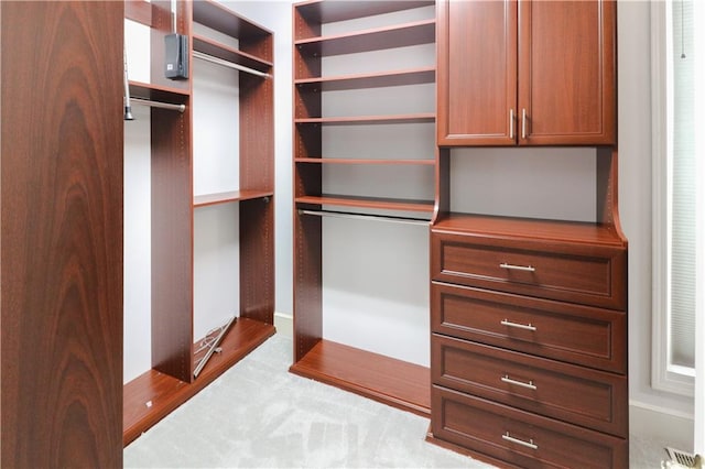 spacious closet with carpet