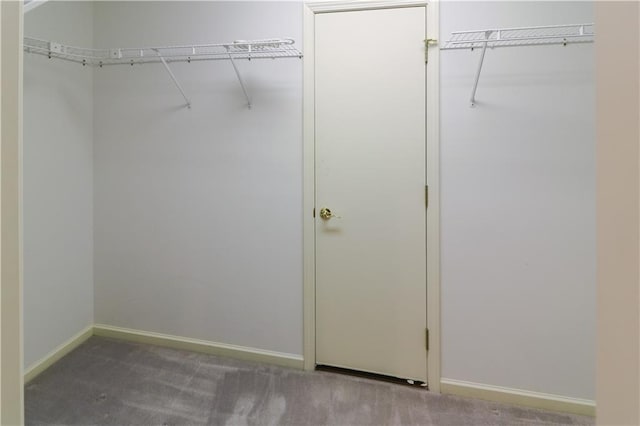 spacious closet featuring carpet flooring