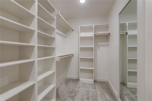 walk in closet featuring carpet