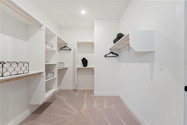 1602 NW 104th Ter, Kansas City, MO 64155 - spacious closet featuring light colored carpet