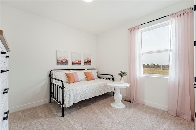 1602 NW 104th Ter, Kansas City, MO 64155 - bedroom featuring baseboards and light carpet