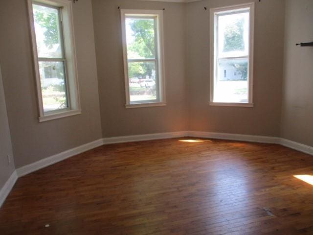 unfurnished room with wood-type flooring and a healthy amount of sunlight