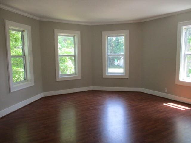 unfurnished room with dark wood-type flooring and crown molding