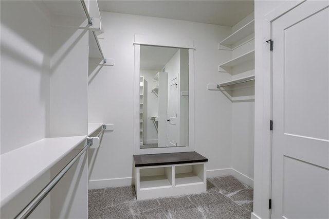 12300 S Hastings St, Olathe, KS 66061 - spacious closet featuring carpet flooring