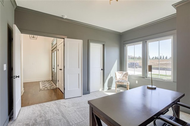 12300 S Hastings St, Olathe, KS 66061 - home office with ornamental molding and carpet