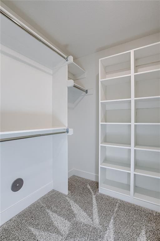 12300 S Hastings St, Olathe, KS 66061 - spacious closet featuring carpet