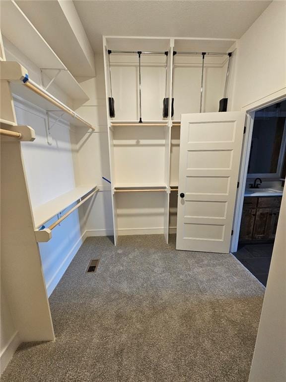 spacious closet with carpet flooring and sink