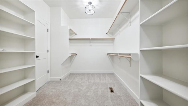 spacious closet featuring light colored carpet