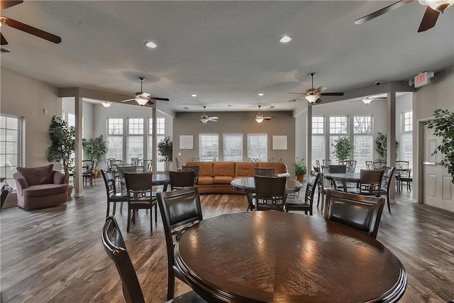 dining room with dark hardwood / wood-style flooring and a wealth of natural light