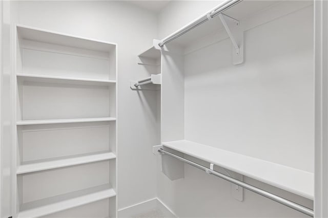 view of spacious closet