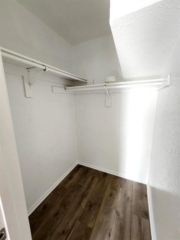 walk in closet with dark hardwood / wood-style floors