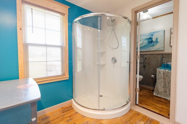 bathroom featuring plenty of natural light, wood-type flooring, walk in shower, and vanity