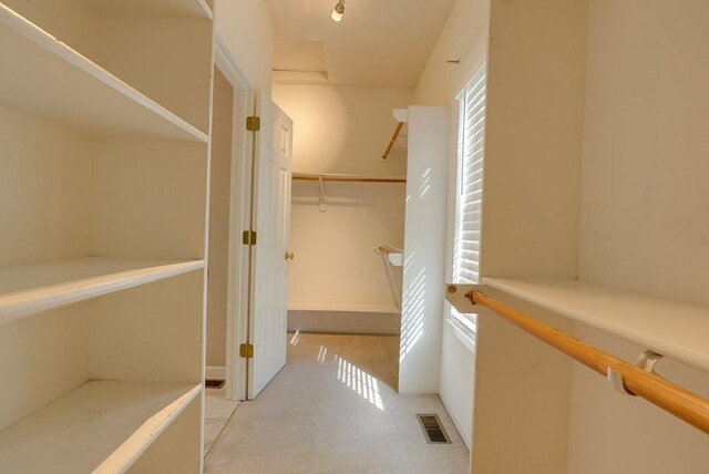 walk in closet featuring light colored carpet, visible vents, and attic access