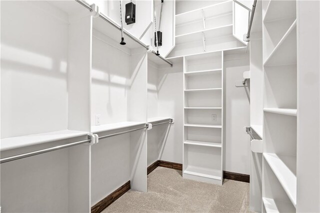 walk in closet with light colored carpet