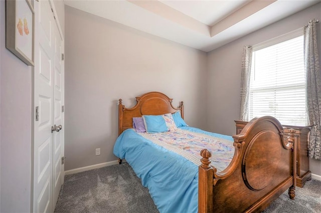 bedroom with a raised ceiling and carpet floors