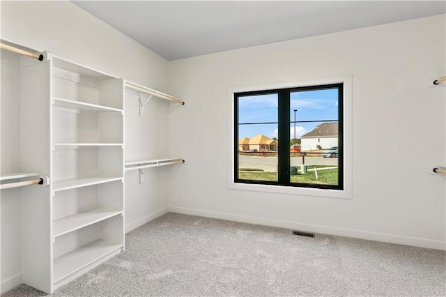 walk in closet with carpet floors