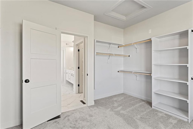 spacious closet with light carpet