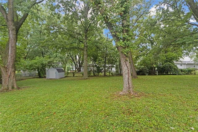 view of yard featuring a storage unit, an outbuilding, and fence