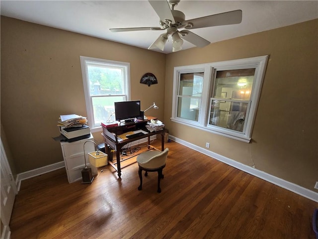 office featuring ceiling fan and dark hardwood / wood-style floors