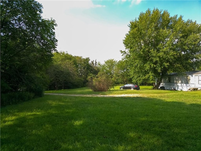 view of yard with driveway