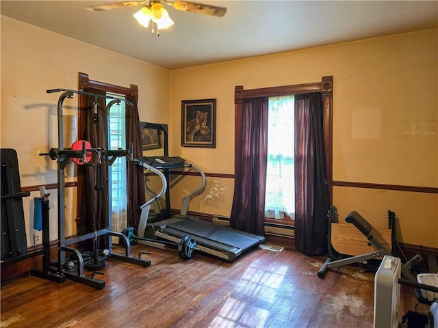 exercise room with ceiling fan and wood finished floors