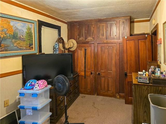 interior space featuring light colored carpet, crown molding, and a textured ceiling