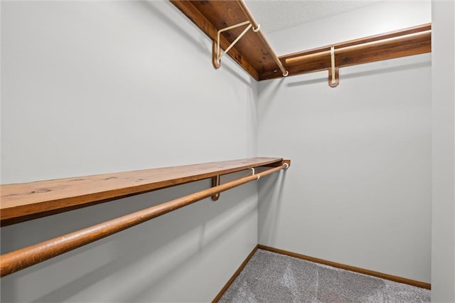 spacious closet with carpet floors