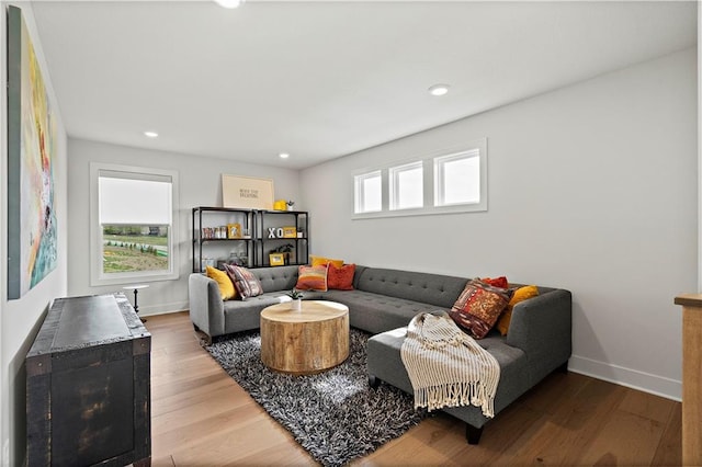 living room with a wealth of natural light and hardwood / wood-style floors