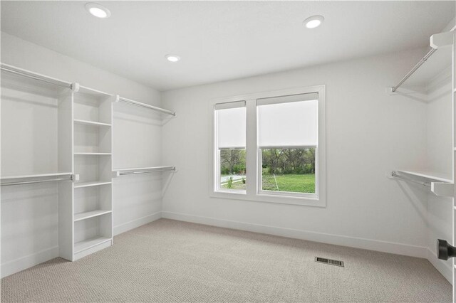 walk in closet with light colored carpet