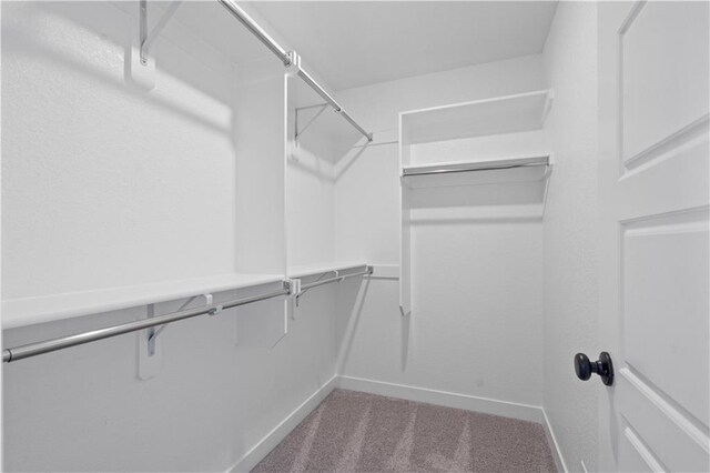 walk in closet featuring carpet