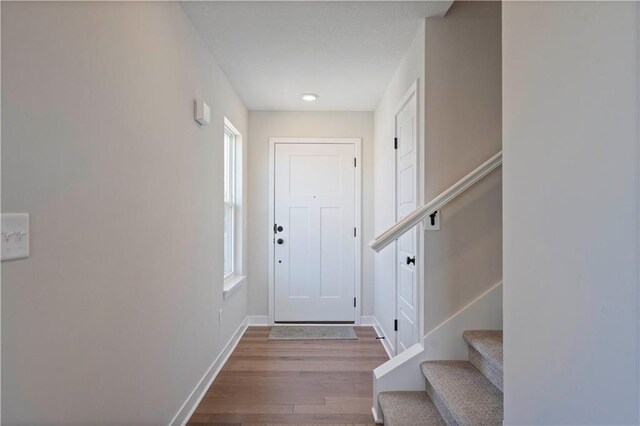 entryway featuring dark hardwood / wood-style flooring