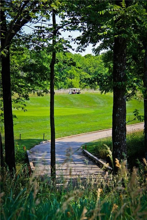 view of community featuring a lawn