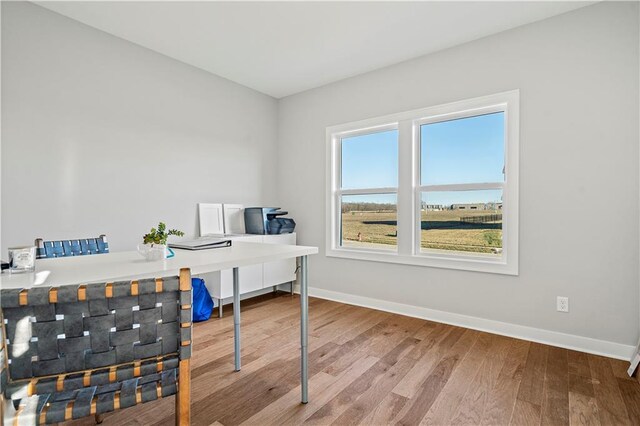 office area featuring light hardwood / wood-style floors