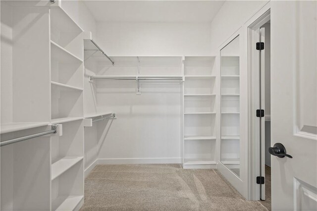 spacious closet featuring light colored carpet