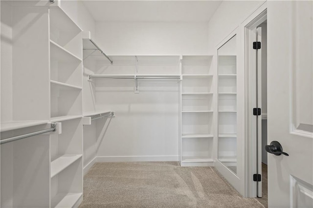 walk in closet with light carpet