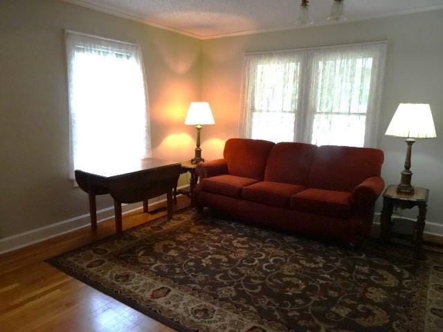 living area featuring plenty of natural light, wood finished floors, and baseboards