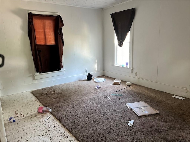 spare room with light colored carpet