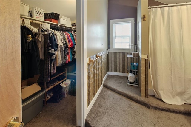 walk in closet with carpet