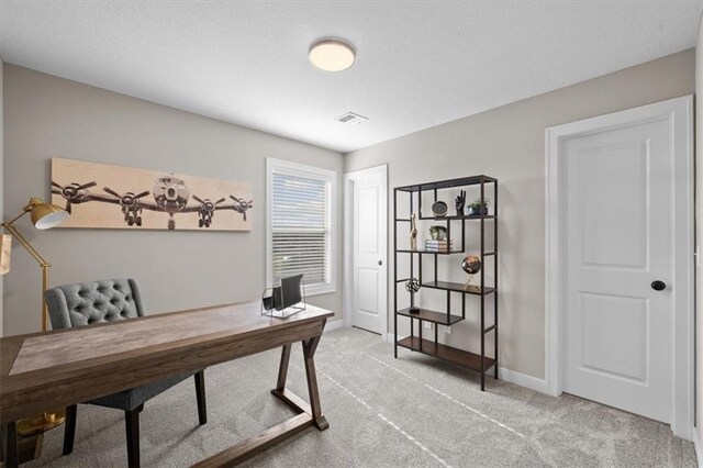 19019 W 169th Pl, Olathe, KS 66062 - office with carpet flooring, visible vents, a textured ceiling, and baseboards