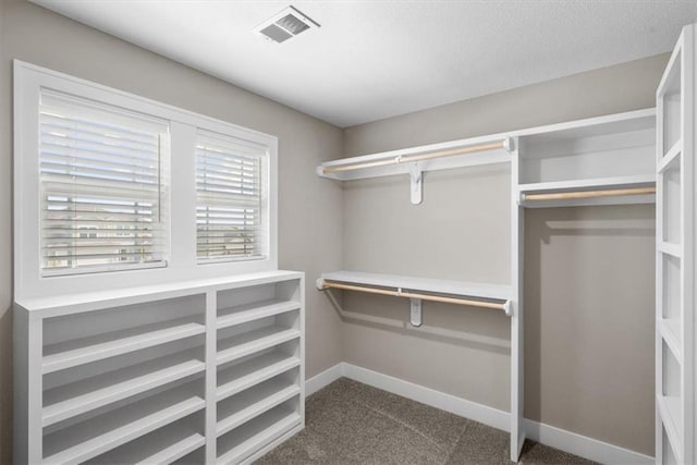 19019 W 169th Pl, Olathe, KS 66062 - spacious closet featuring visible vents and carpet floors