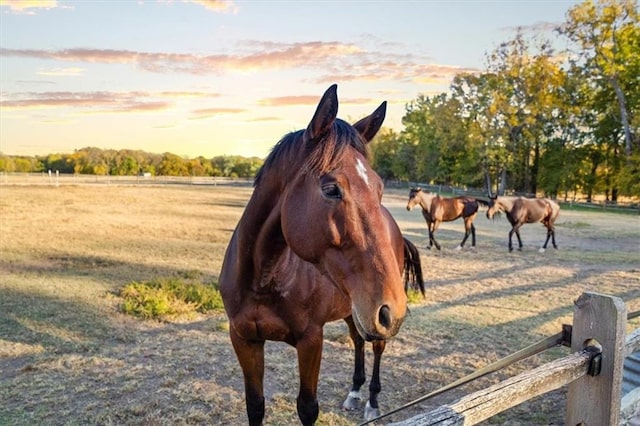 view of stable