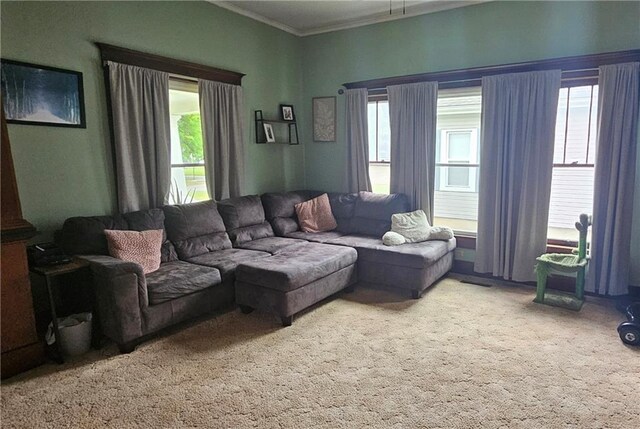 living room featuring carpet floors and ornamental molding