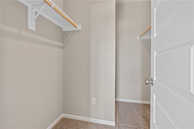 spacious closet with carpet