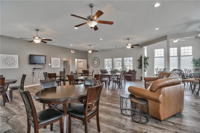 dining room with ceiling fan and light hardwood / wood-style floors