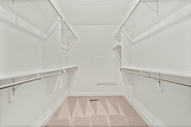 walk in closet with carpet floors