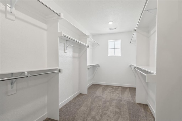 walk in closet featuring carpet flooring