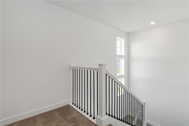 staircase featuring carpet floors