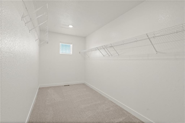 408 Woodview Dr, Raymore, MO 64083 - walk in closet with carpet