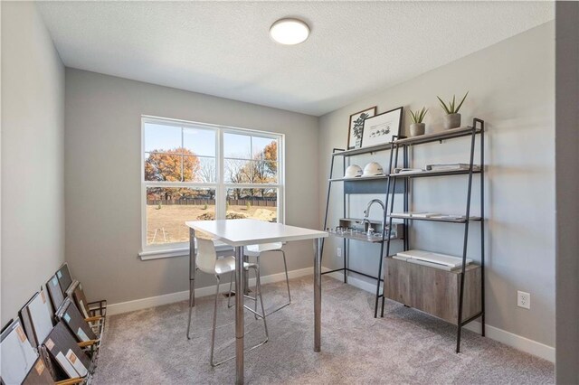 carpeted office space featuring a textured ceiling